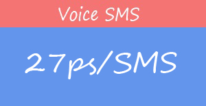 Voice SMS